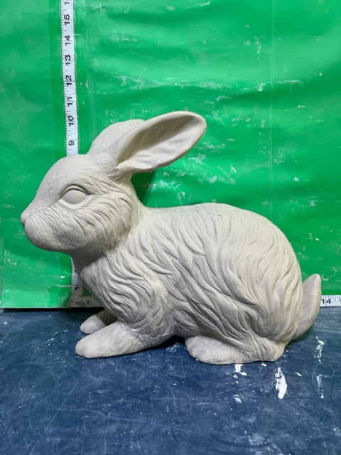 S 1080 - RABBIT