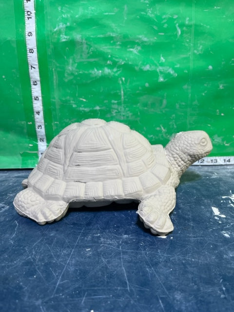 C 2634 - TURTLE