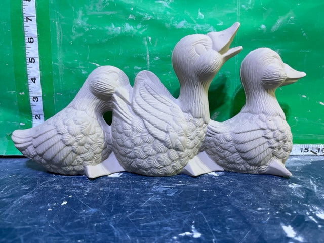 VIP 1373 - DUCKS