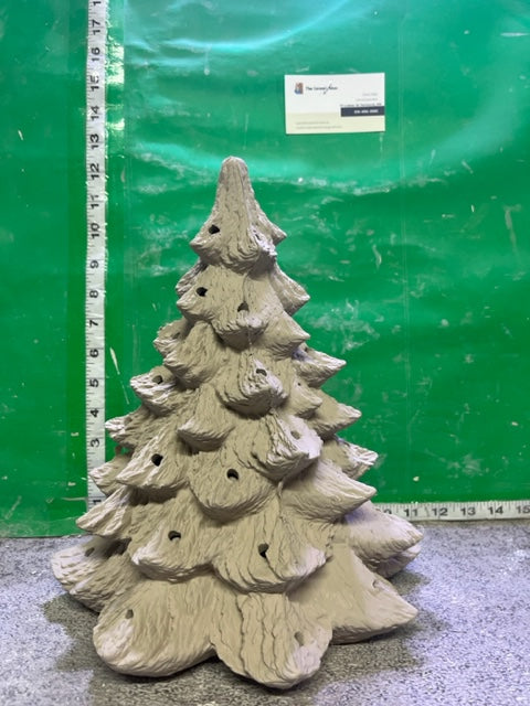 NM 581 - TREE