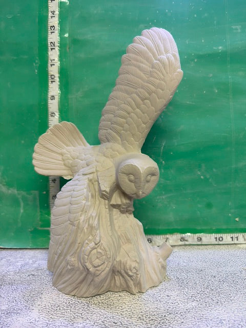 DH 1863 - OWL ON DRIFTWOOD