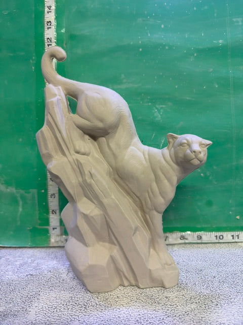 DH 1674 - LEOPARD ON DRIFTWOOD