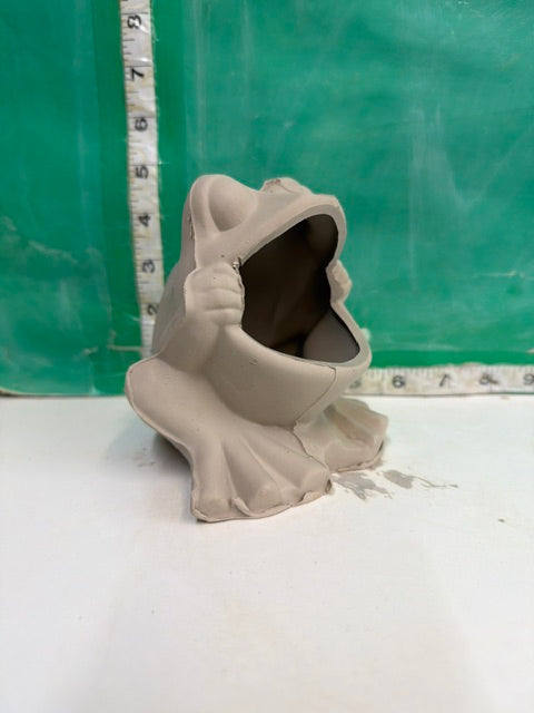 C 134 - FROG SCRUBBY