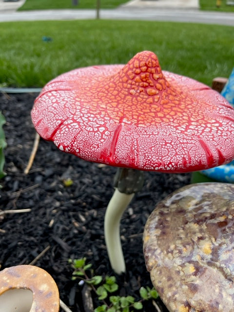 large mushroom bisque