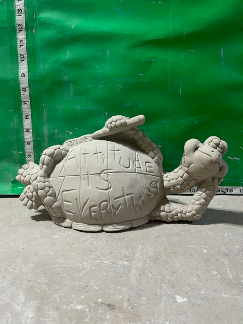 TL1120 turtle attitude sign
