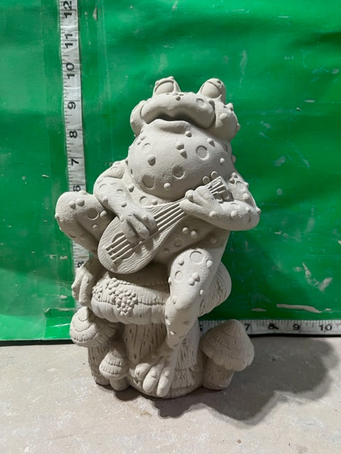 CPI 3684 turtle playing banjo