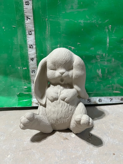 S 2200 sleeping bunny