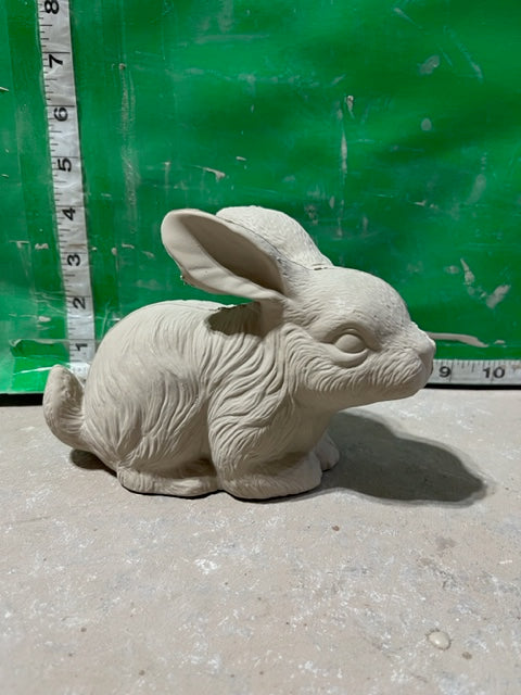 S 1078 bunny
