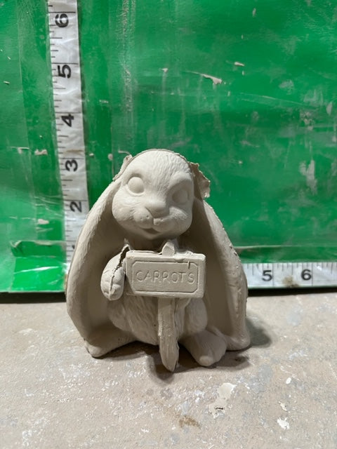 S 1596 bunny with sign