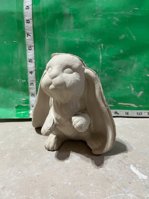 S 1553 bunny