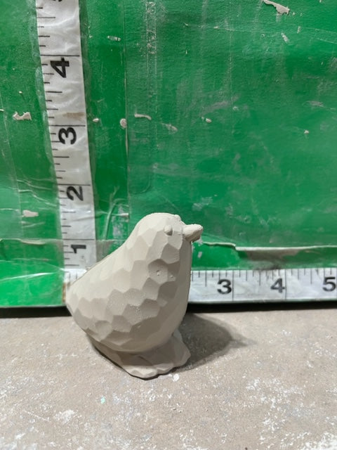 CM 3326 Chick