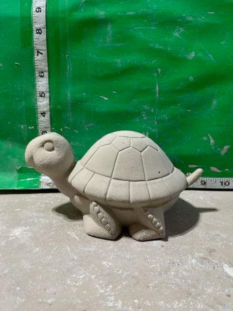 cm 2357 TURTLE