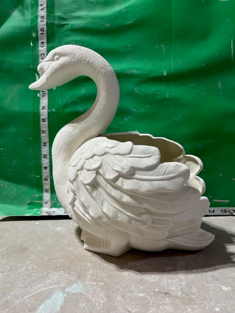 CM 623 SWAN