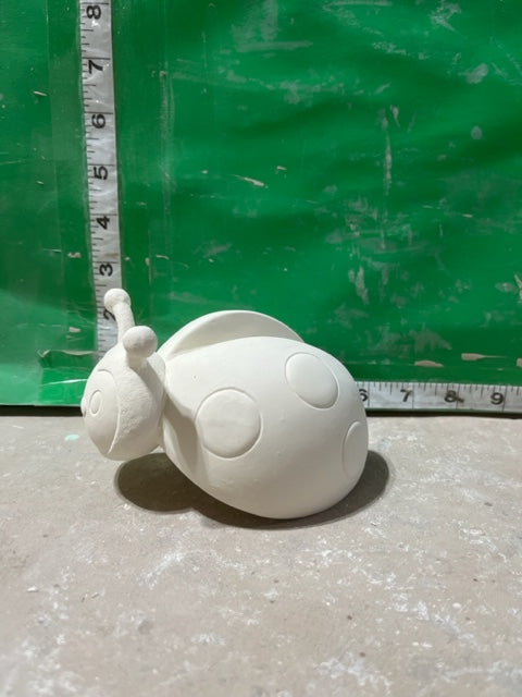 CM 2096 LADYBUG