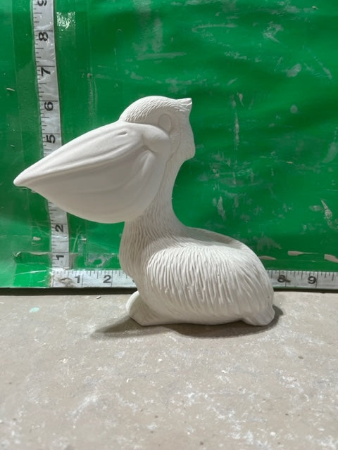 CM 2751 PELICAN