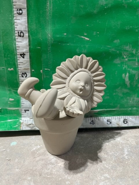 D 657 - BABY SUNFLOWER IN POT