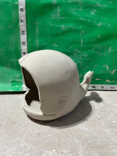 TL 1277 - WHALE SCRUBBY