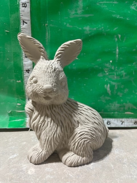 CM 2967 - BUNNY