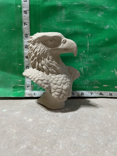 NM 2845 - EAGLE