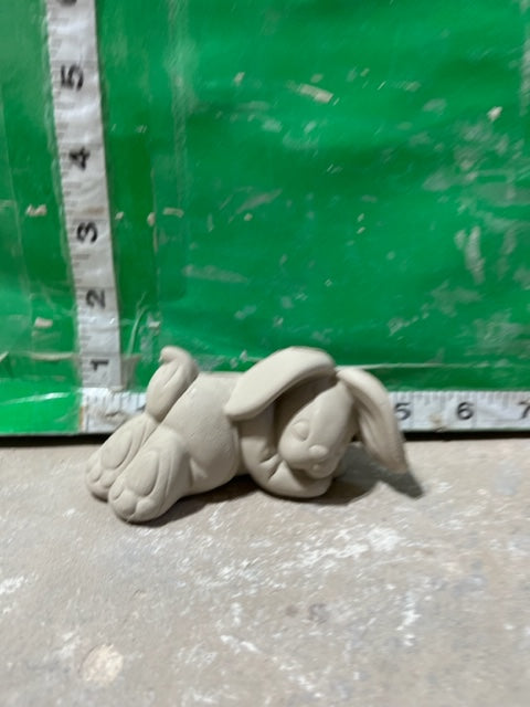 CPI 3079b - sleeping bunny