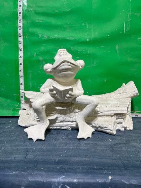 TL 1023 - WISDOM FROG