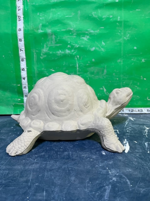 CPI 3254 - TURTLE