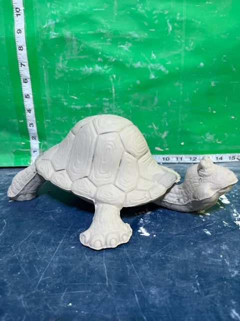 TL 927 - TURTLE