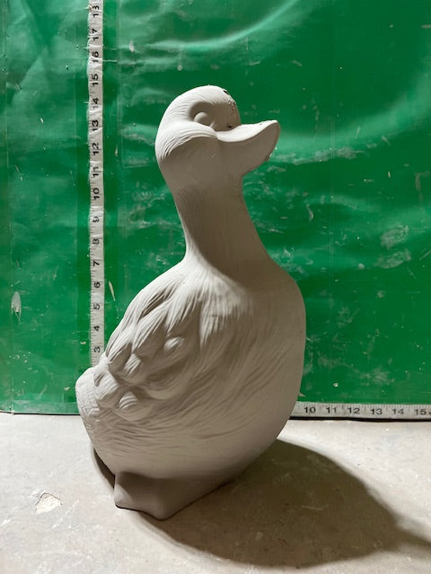 D 436 - DUCK