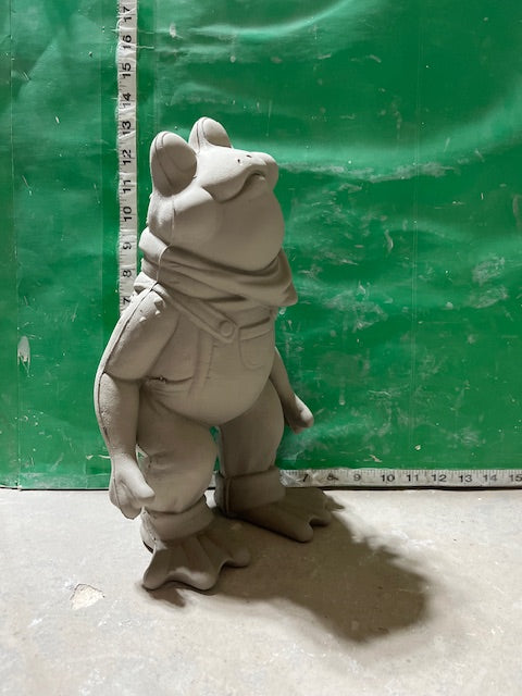 CPI 4016 - FROG LOOKING