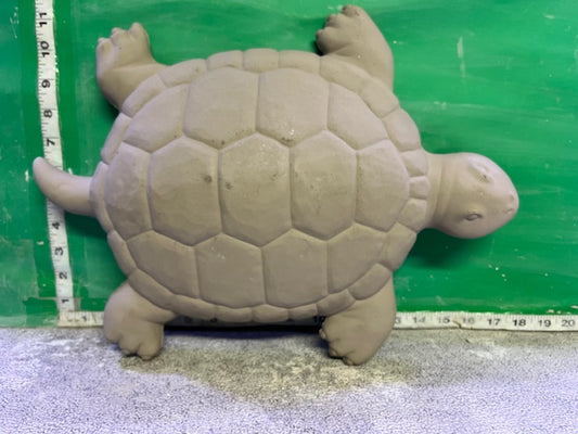 S 3231 - TURTLE