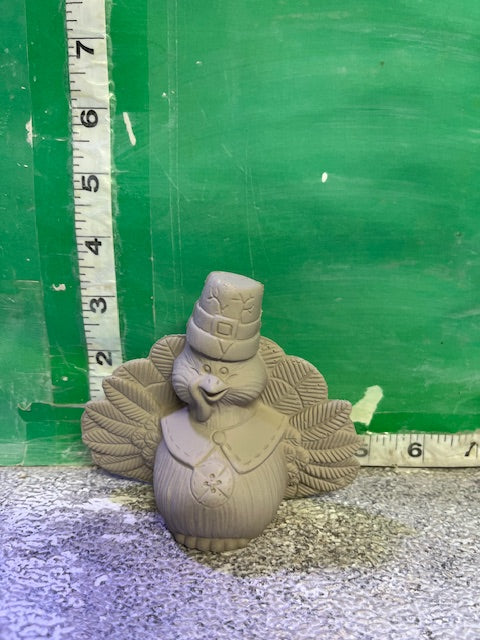 D 1790 - TURKEY #3