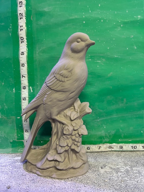 DH 110 - BIRD ON BRANCH
