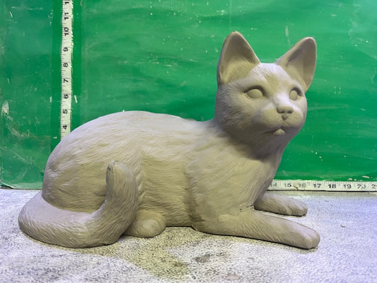 S 1121 - CAT LAYING WAITING