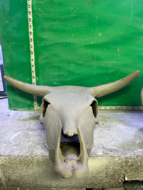 S 1836 - BULL SKULL