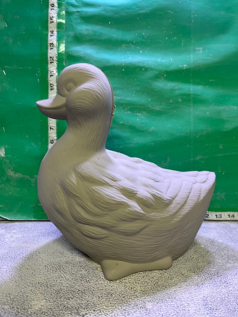 D 437 - SITTING DUCK