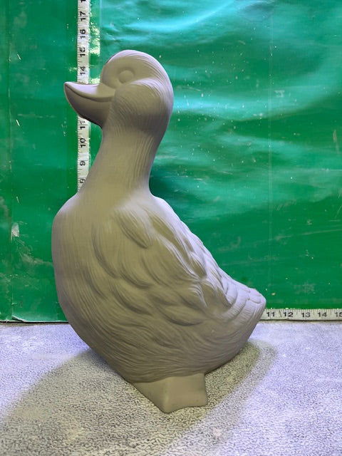 D 436 - DUCK SITTING