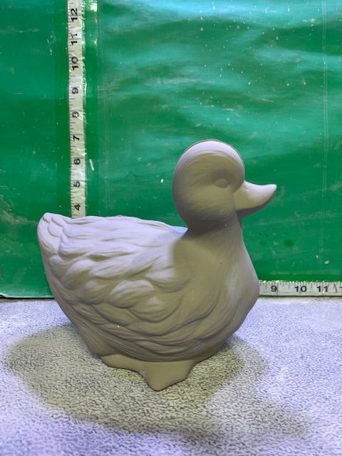 D 432 - SITTING DUCK