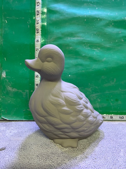 D 433 - DUCK WITH FEATHERS
