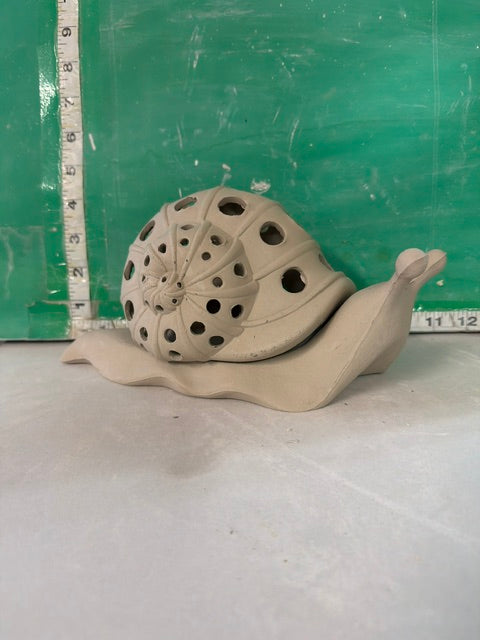 CM 2120 - SNAIL