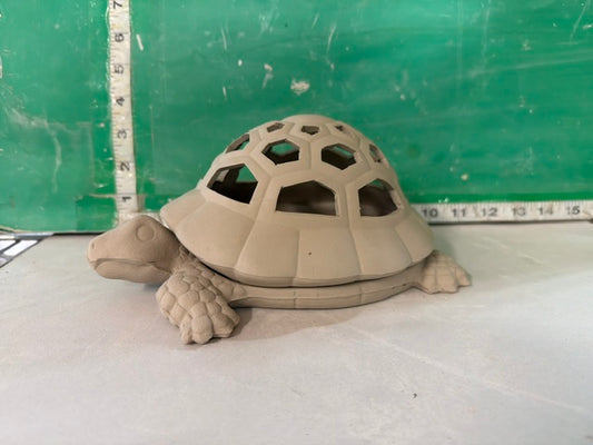 CM 2118 - TURTLE
