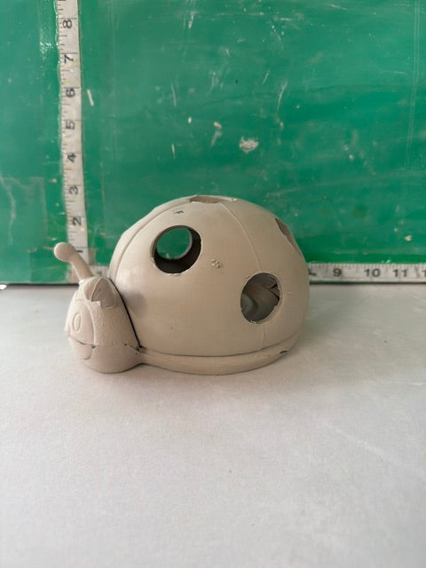 CM 2090 - LADYBUG