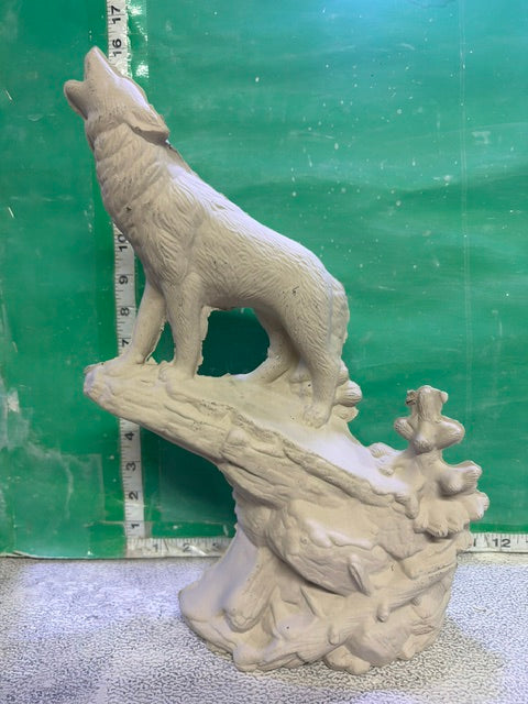 DH 1763 - WOLF ON DRIFTWOOD
