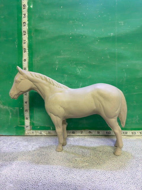 DH 1456 - STANDING HORSE