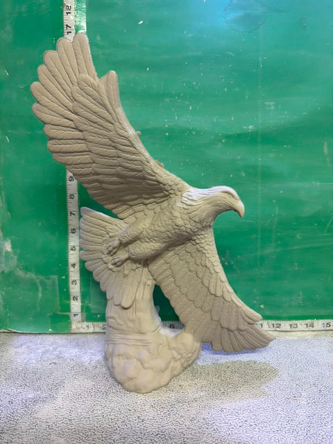 DH 2770 - BALD EAGLE ON DRIFTWOOD