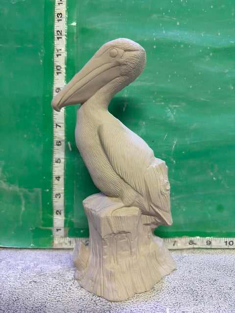 DH 1973 - PELICAN ON DRIFTWOOD