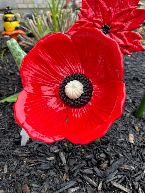 poppy flower bisque