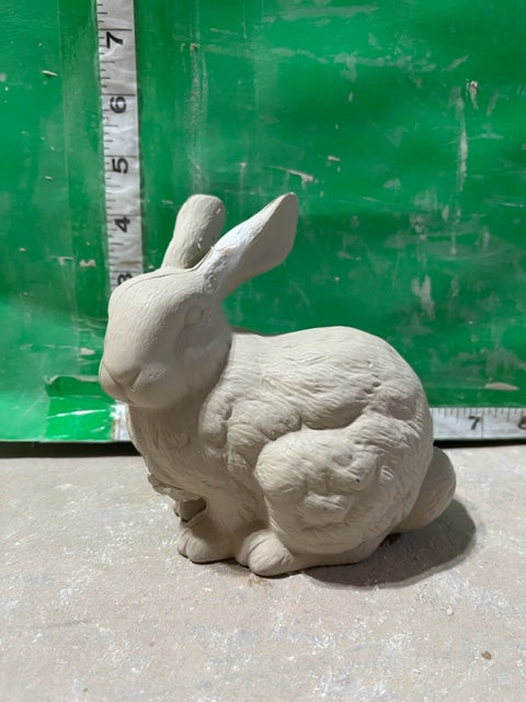 S 1997 - bunny