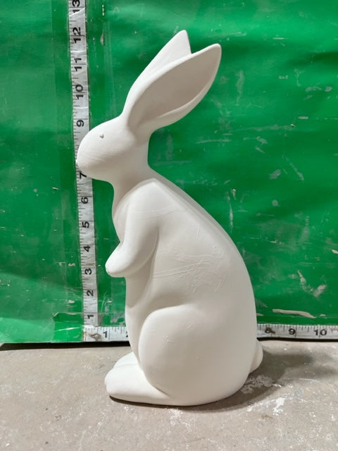 CM 3641 - Bunny