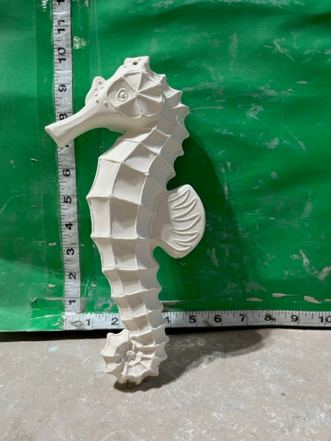 CM 2618 SEAHORSE