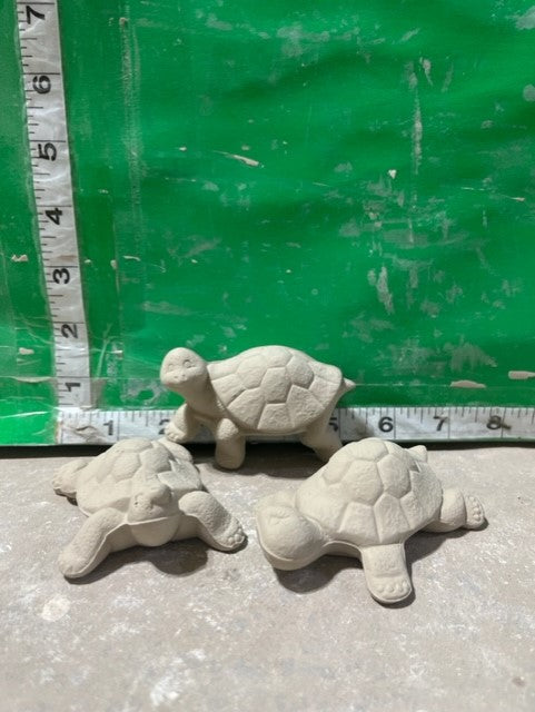 MD 2248 - TURTLE TRIO